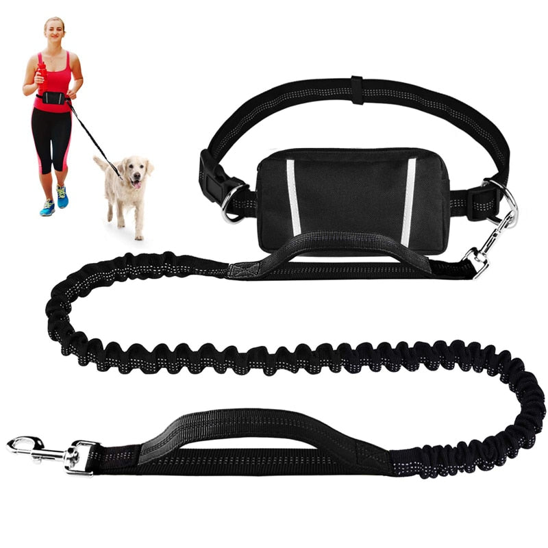 Stilig og elastisk hundebånd med magebelte. Velg mellom 3 forskjellige farger (Handsfree)
