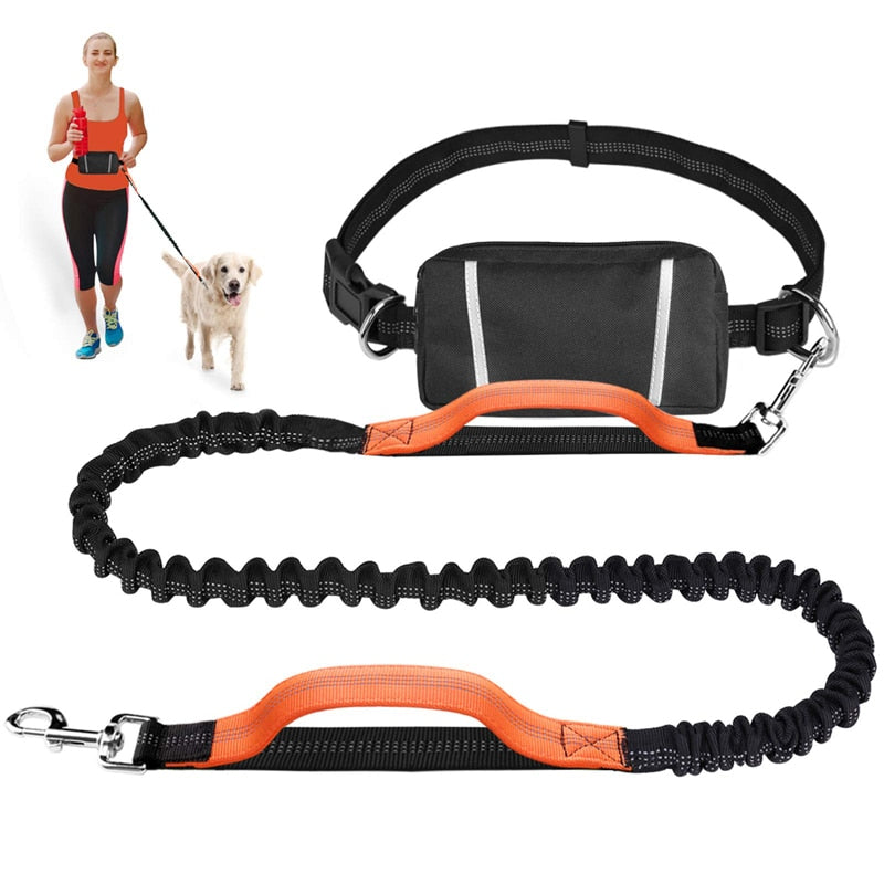 Stilig og elastisk hundebånd med magebelte. Velg mellom 3 forskjellige farger (Handsfree)
