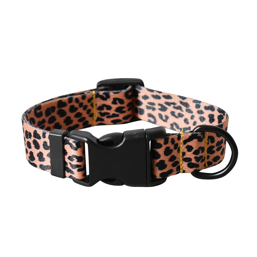Stilig hundebånd i Leopard design. Velg mellom halsbånd , bånd eller sett med begge deler