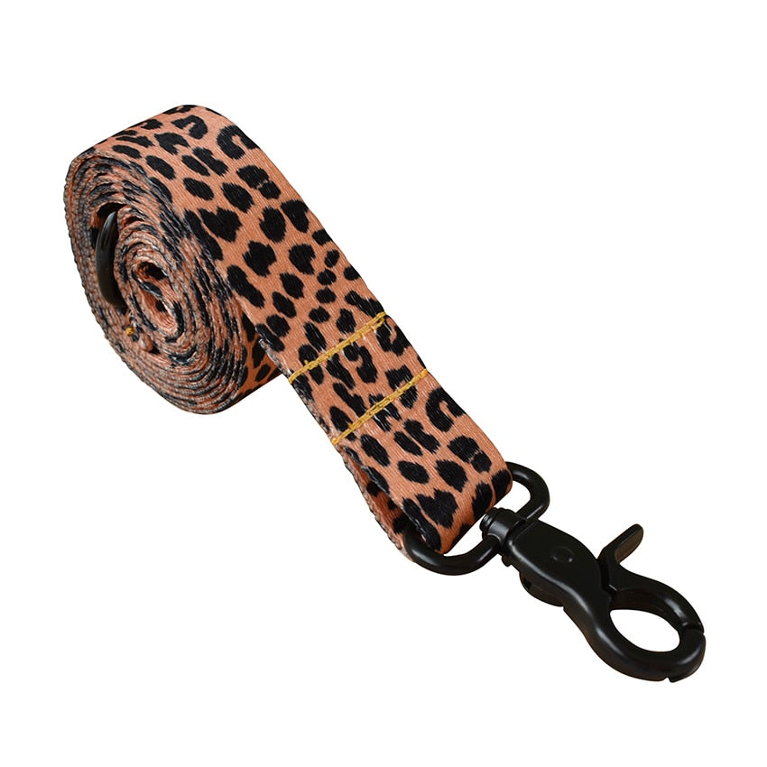 Stilig hundebånd i Leopard design. Velg mellom halsbånd , bånd eller sett med begge deler