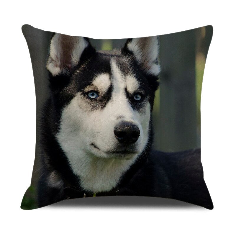 Stilig putetrekk. Velg mellom 20 forskjellige motiv. 45x45 cm