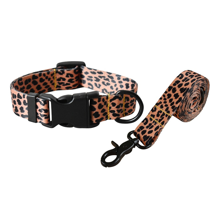 Stilig hundebånd i Leopard design. Velg mellom halsbånd , bånd eller sett med begge deler
