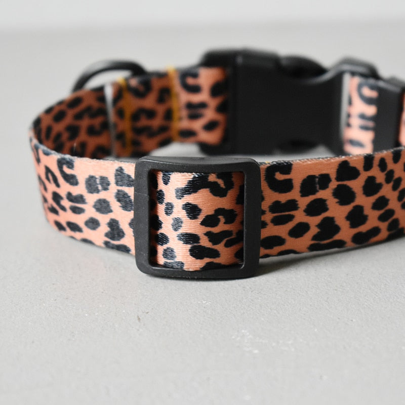 Stilig hundebånd i Leopard design. Velg mellom halsbånd , bånd eller sett med begge deler