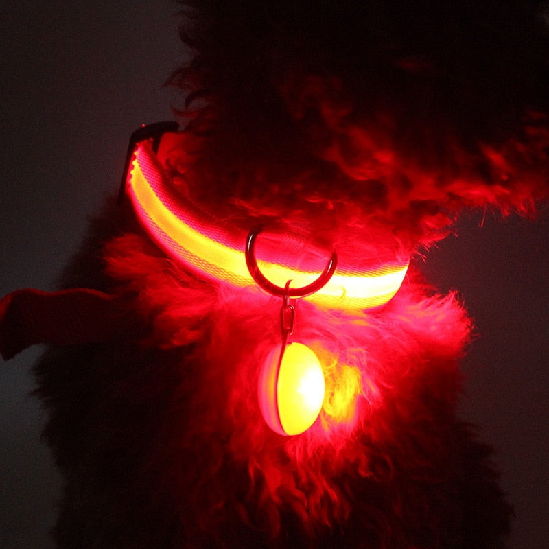 Stilig hundebånd med innebygd LED lys. Velg mellom 6 forskjellige farger